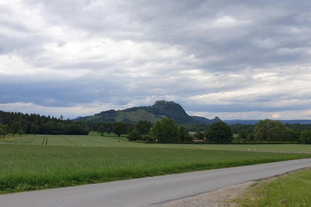 Ferienwohnung In Singen Am Hohentwiel - Seenah Luaran gambar