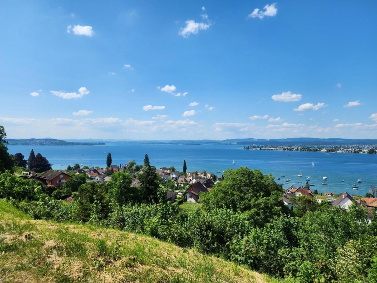 Ferienwohnung In Singen Am Hohentwiel - Seenah Luaran gambar